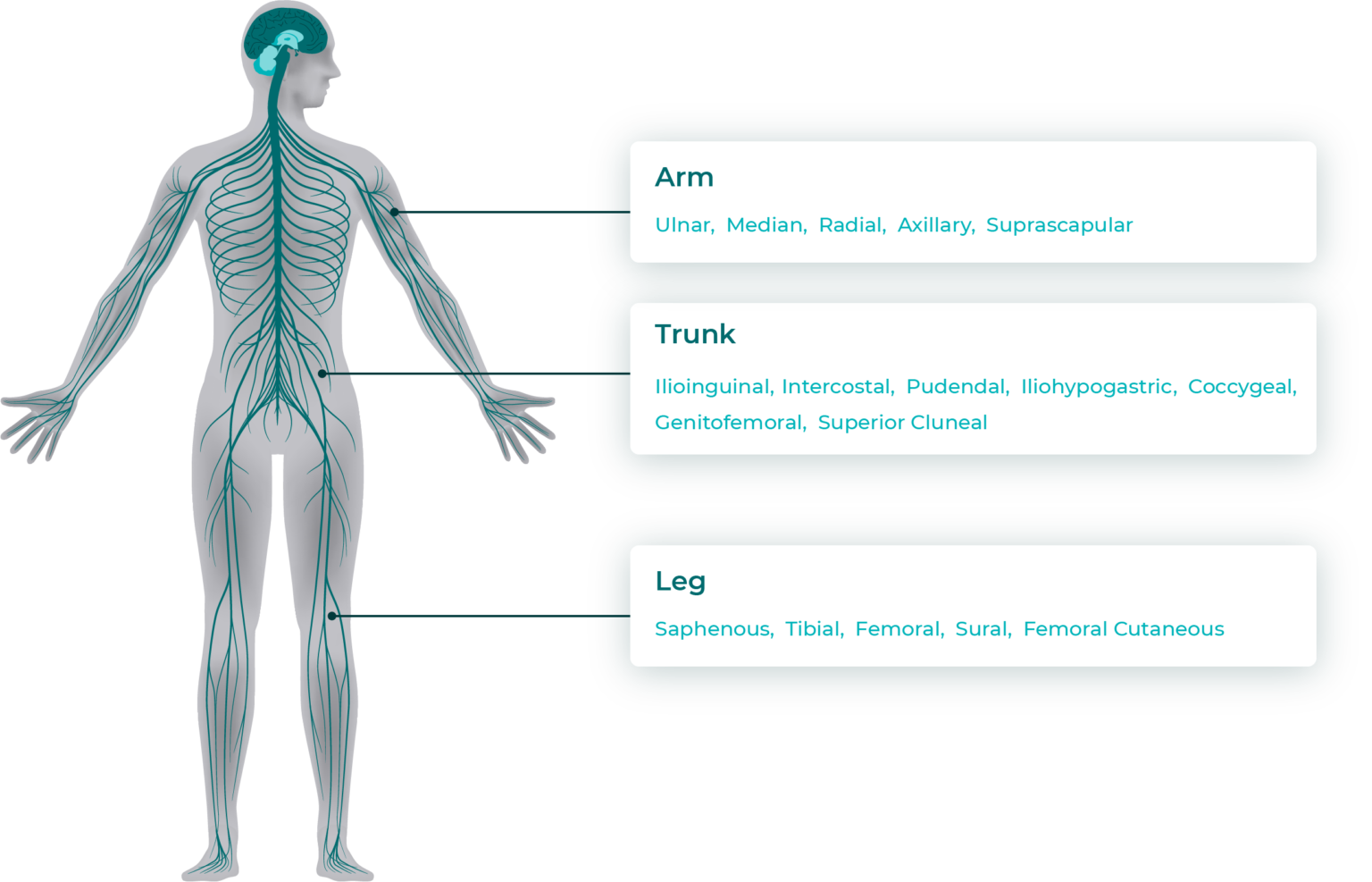 Procedure - StimRouter for Chronic Pain
